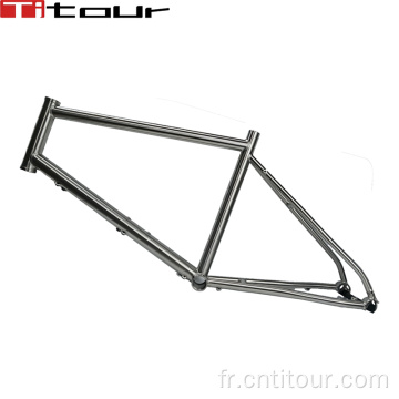 Titanium Mini Velo Bicycle Frame 451